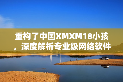 重构了中国XMXM18小孩，深度解析专业级网络软件推荐机制
