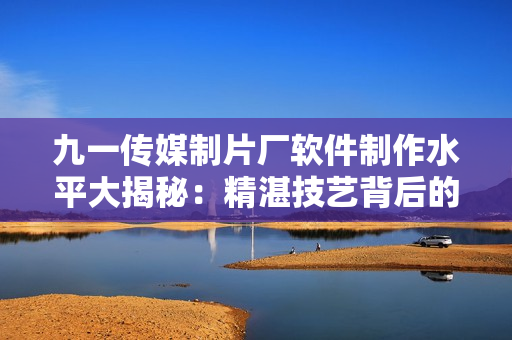 九一传媒制片厂软件制作水平大揭秘：精湛技艺背后的独特秘籍