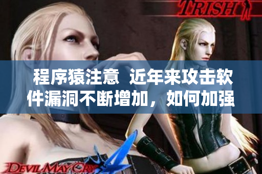  程序猿注意  近年来攻击软件漏洞不断增加，如何加强软件安全？