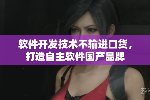 软件开发技术不输进口货，打造自主软件国产品牌