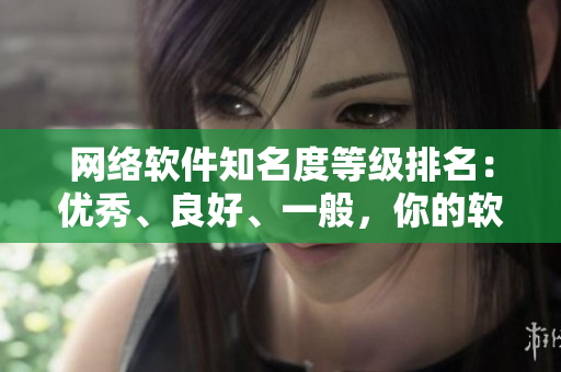 网络软件知名度等级排名：优秀、良好、一般，你的软件在哪一线？