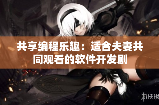 共享编程乐趣：适合夫妻共同观看的软件开发剧