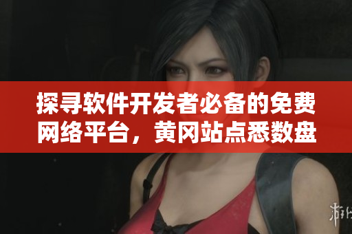探寻软件开发者必备的免费网络平台，黄冈站点悉数盘点!