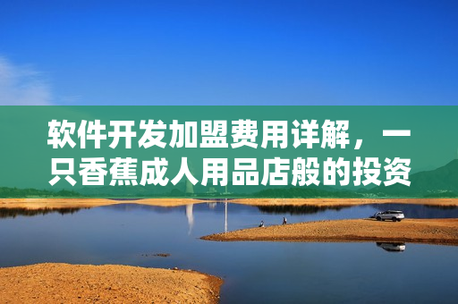 软件开发加盟费用详解，一只香蕉成人用品店般的投资模式