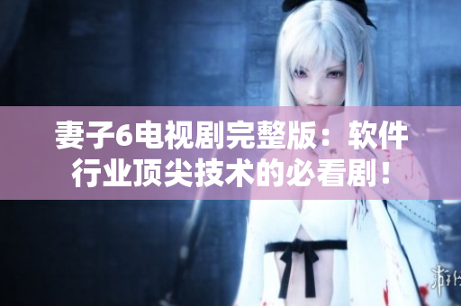 妻子6电视剧完整版：软件行业顶尖技术的必看剧！