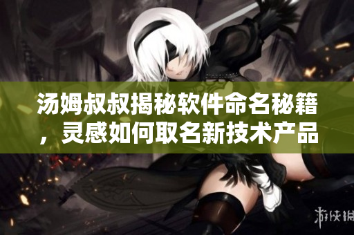 汤姆叔叔揭秘软件命名秘籍，灵感如何取名新技术产品