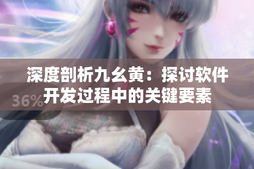 深度剖析九幺黄：探讨软件开发过程中的关键要素