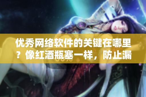 优秀网络软件的关键在哪里？像红酒瓶塞一样，防止漏洞流失重要数据