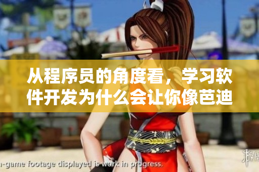 从程序员的角度看，学习软件开发为什么会让你像芭迪女士一样掉泪翻白眼