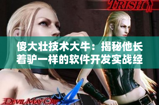 傻大壮技术大牛：揭秘他长着驴一样的软件开发实战经验