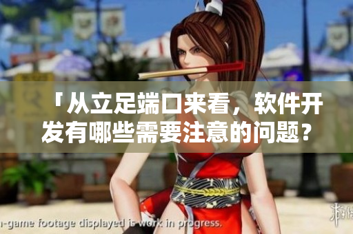 「从立足端口来看，软件开发有哪些需要注意的问题？」