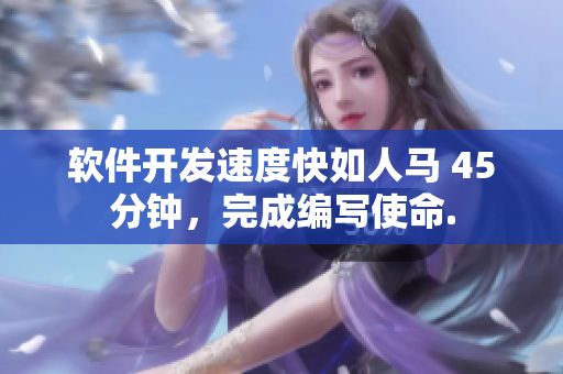 软件开发速度快如人马 45分钟，完成编写使命.