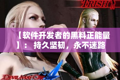 【软件开发者的黑料正能量】： 持久坚韧，永不迷路