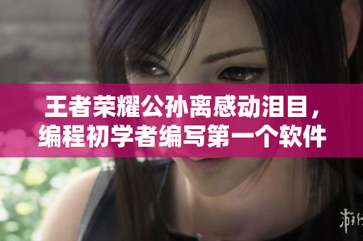 王者荣耀公孙离感动泪目，编程初学者编写第一个软件时的心路历程
