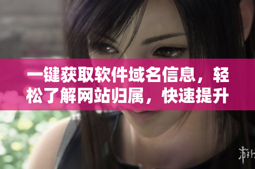 一键获取软件域名信息，轻松了解网站归属，快速提升编程效率
