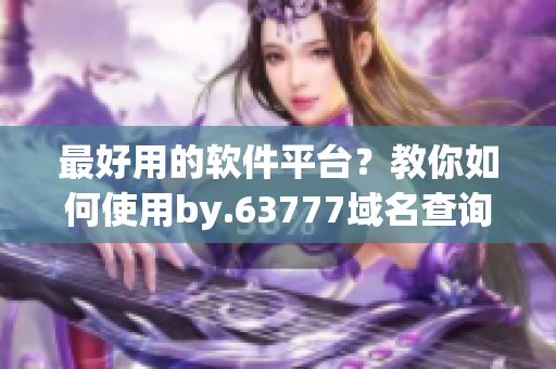 最好用的软件平台？教你如何使用by.63777域名查询找到最优解答！