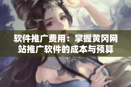 软件推广费用：掌握黄冈网站推广软件的成本与预算