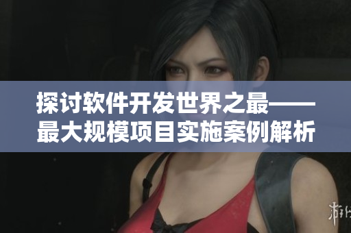 探讨软件开发世界之最——最大规模项目实施案例解析