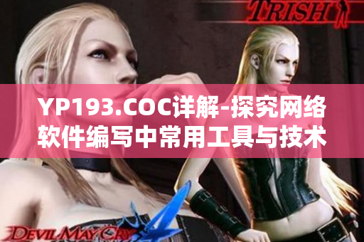 YP193.COC详解-探究网络软件编写中常用工具与技术