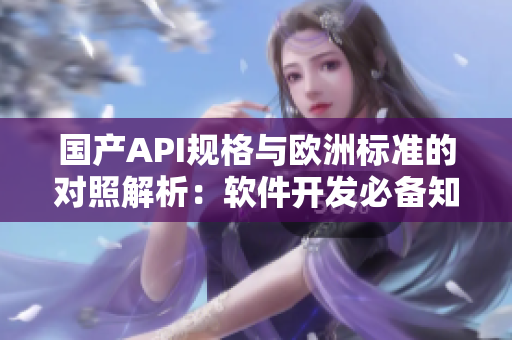 国产API规格与欧洲标准的对照解析：软件开发必备知识