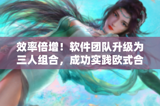 效率倍增！软件团队升级为三人组合，成功实践欧式合作模式