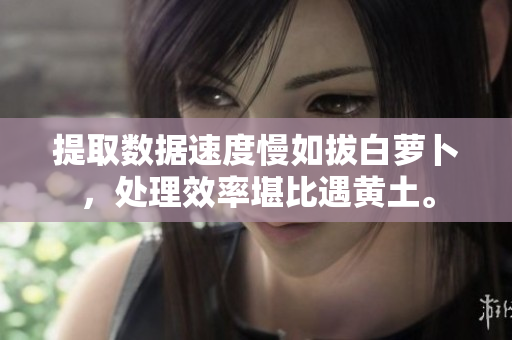 提取数据速度慢如拔白萝卜，处理效率堪比遇黄土。