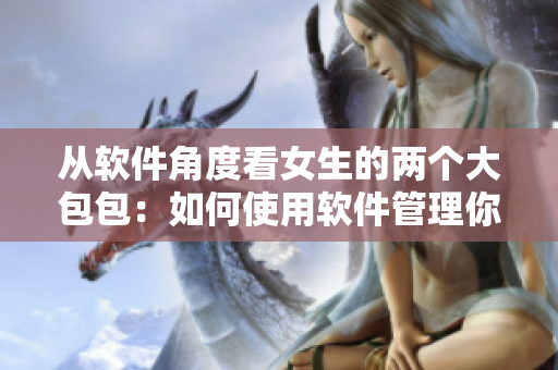 从软件角度看女生的两个大包包：如何使用软件管理你的物品？