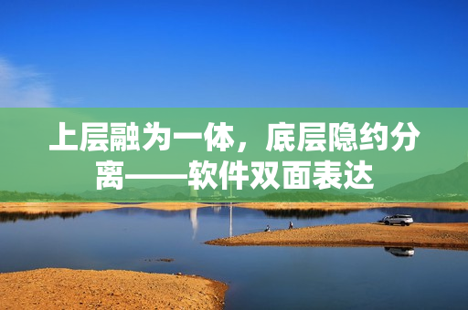 上层融为一体，底层隐约分离——软件双面表达