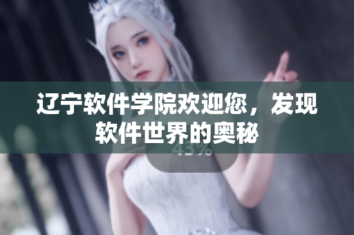 辽宁软件学院欢迎您，发现软件世界的奥秘