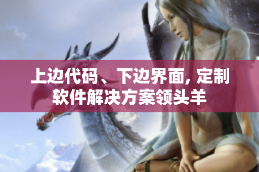 上边代码、下边界面, 定制软件解决方案领头羊