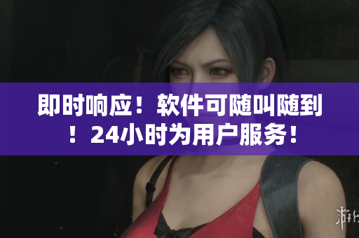 即时响应！软件可随叫随到！24小时为用户服务！