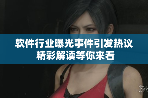 软件行业曝光事件引发热议 精彩解读等你来看