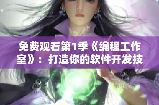 免费观看第1季《编程工作室》：打造你的软件开发技能