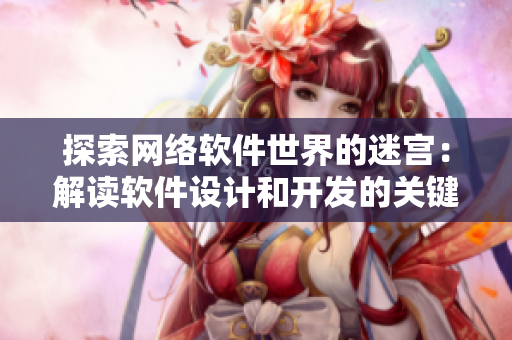 探索网络软件世界的迷宫：解读软件设计和开发的关键路径