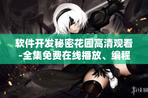 软件开发秘密花园高清观看-全集免费在线播放、编程技巧揭密