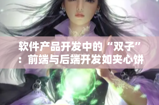 软件产品开发中的“双子”：前端与后端开发如夹心饼干一般完美搭配