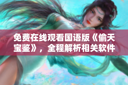 免费在线观看国语版《偷天宝鉴》，全程解析相关软件功能