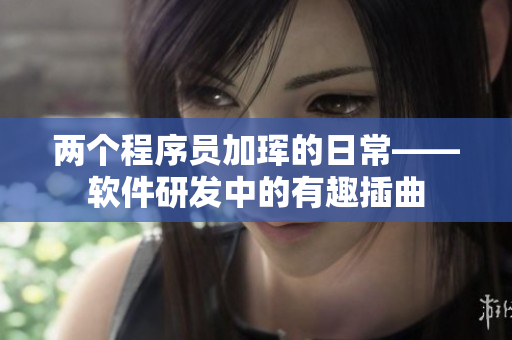 两个程序员加珲的日常——软件研发中的有趣插曲