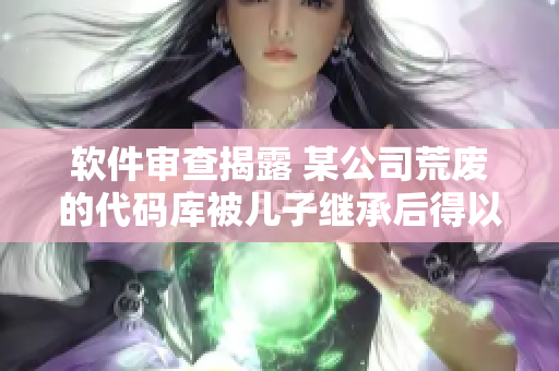 软件审查揭露 某公司荒废的代码库被儿子继承后得以更新