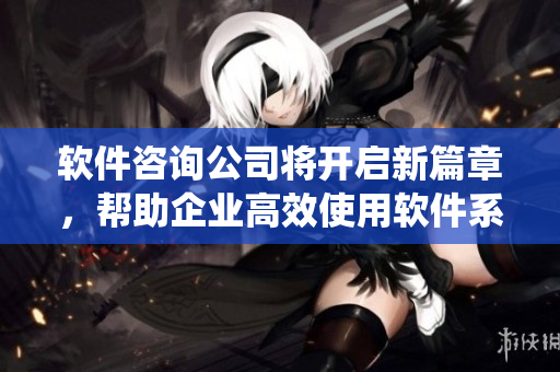 软件咨询公司将开启新篇章，帮助企业高效使用软件系统