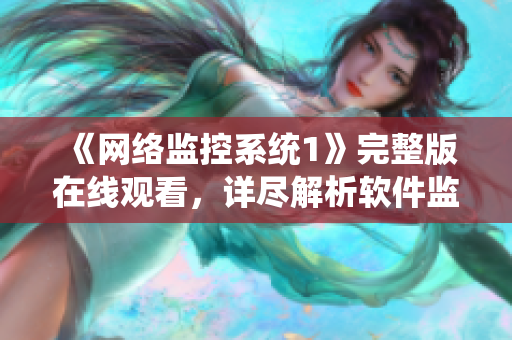 《网络监控系统1》完整版在线观看，详尽解析软件监控原理与技巧