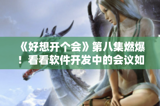 《好想开个会》第八集燃爆！看看软件开发中的会议如何变得更加高效有趣