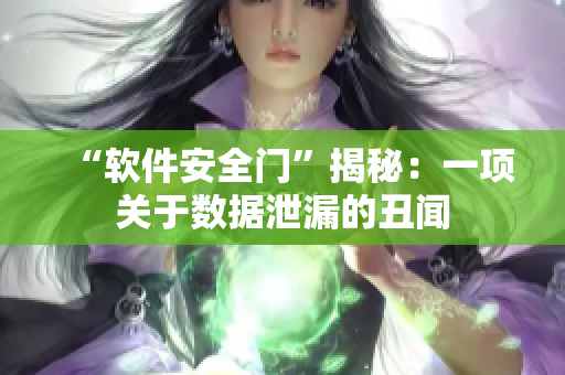 “软件安全门”揭秘：一项关于数据泄漏的丑闻