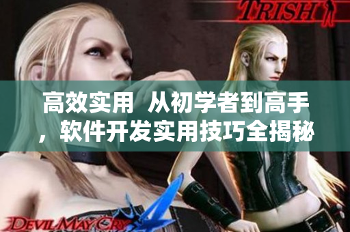 高效实用  从初学者到高手，软件开发实用技巧全揭秘