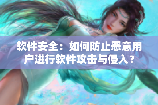 软件安全：如何防止恶意用户进行软件攻击与侵入？
