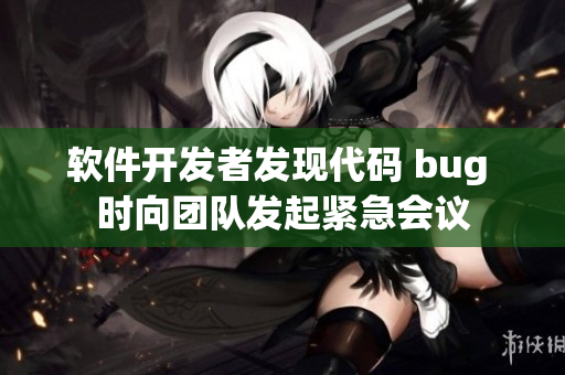 软件开发者发现代码 bug 时向团队发起紧急会议