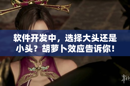 软件开发中，选择大头还是小头？胡萝卜效应告诉你！