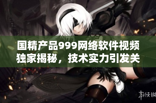 国精产品999网络软件视频独家揭秘，技术实力引发关注