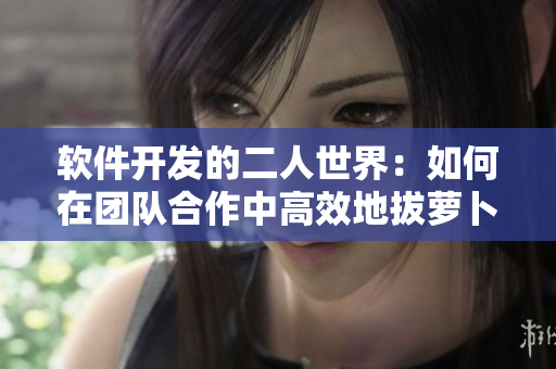 软件开发的二人世界：如何在团队合作中高效地拔萝卜？