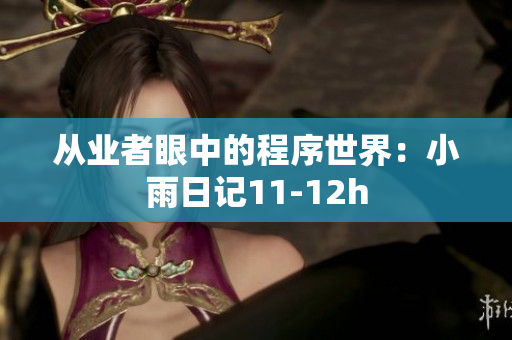 从业者眼中的程序世界：小雨日记11-12h